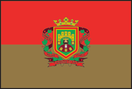 bandera de burgos